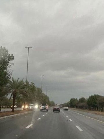 Weather