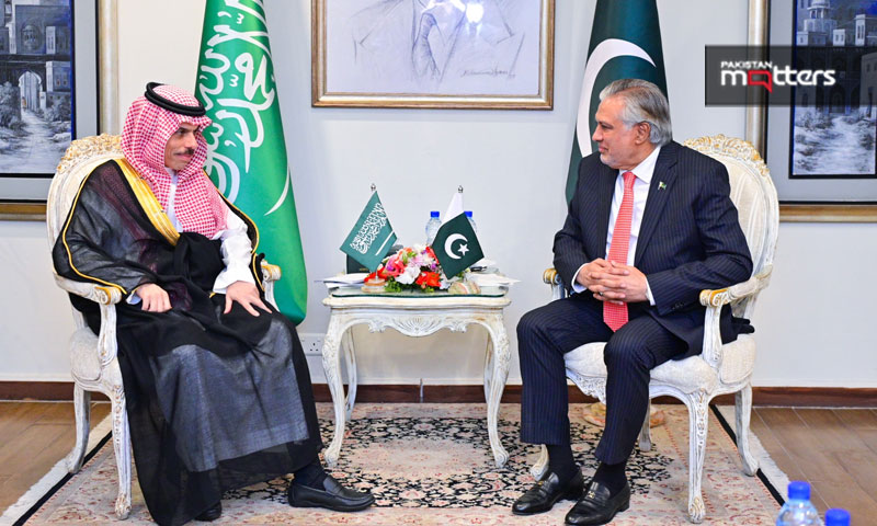 Pak & saudi foreign ministers
