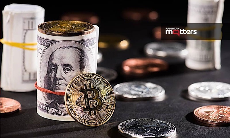 Crypto advisor