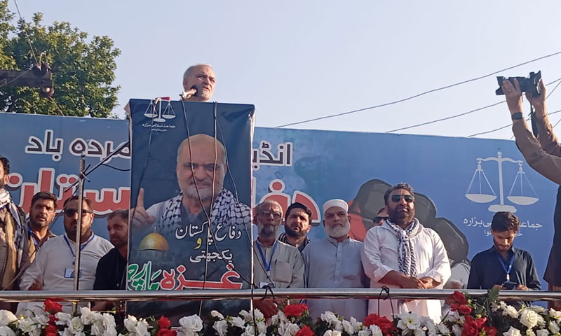 Hafiz naeem ii