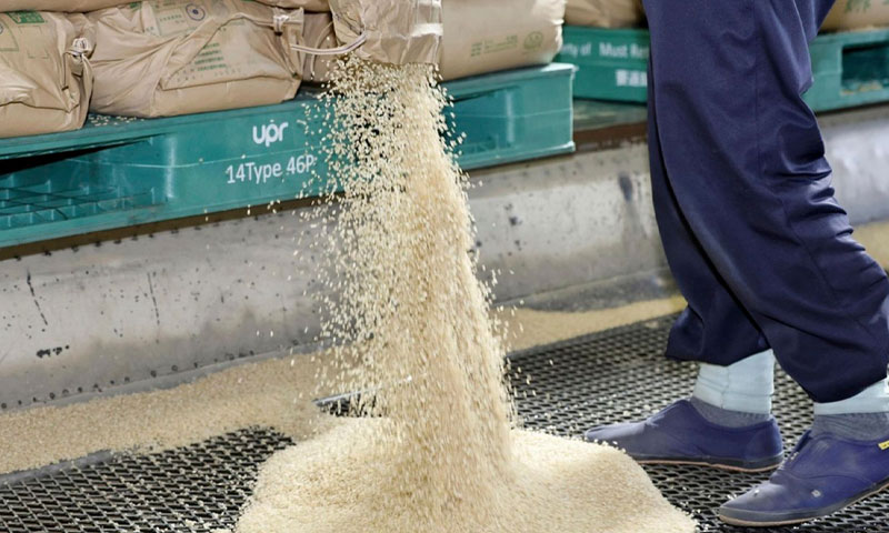 Japanese minister rice