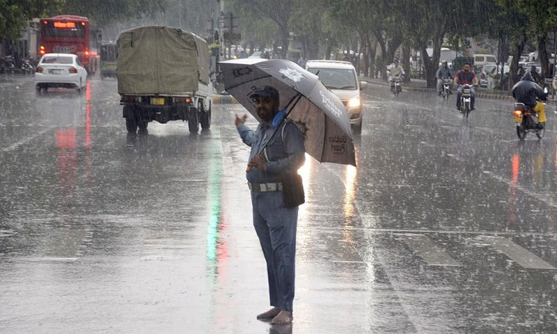 Rain and traffic warden