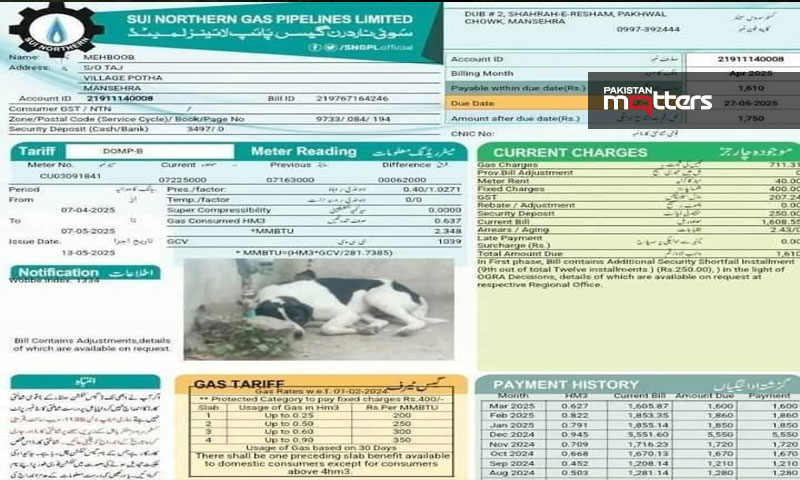 Sui gass bill