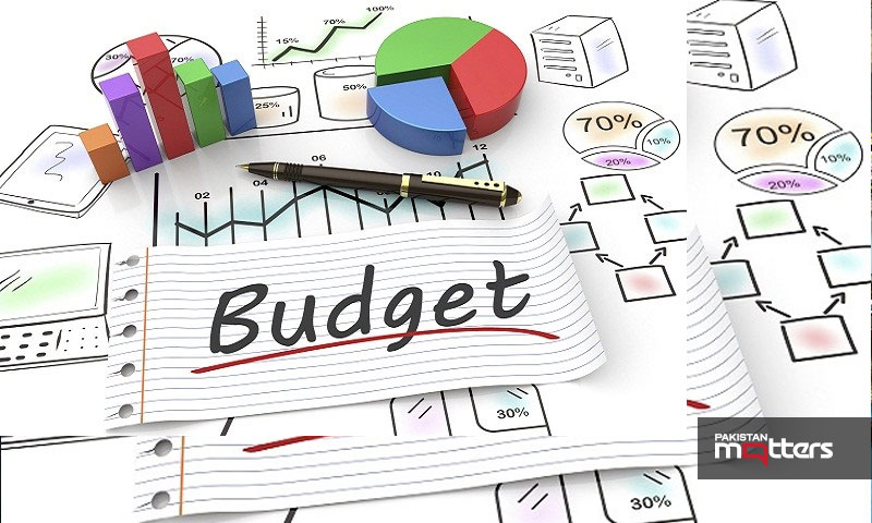 Annual budget