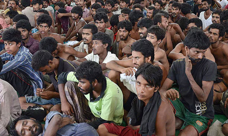 Bangladeshi and rohingya refugees