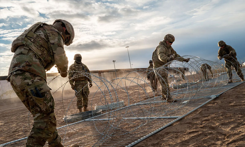 Domestic deployment of the military