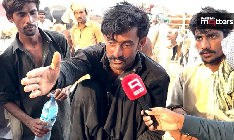پنجاب کی سب سے بڑی مویشی منڈی میں ناقص سہولیات، بیوپاری سراپہ احتجاج