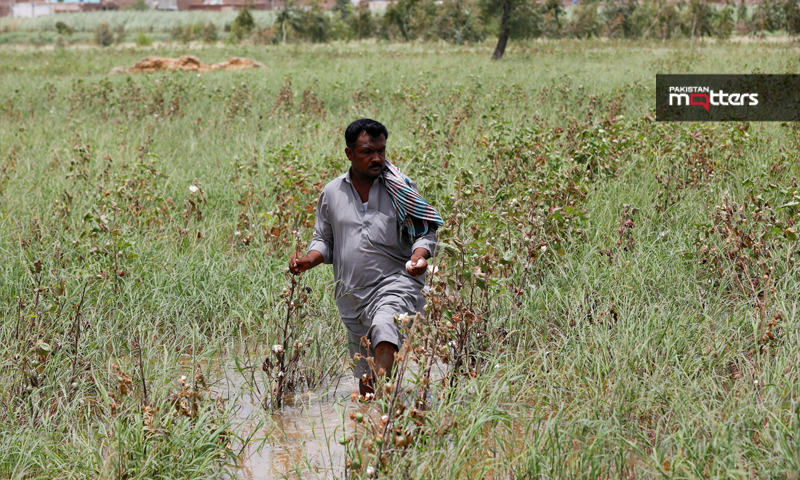 Farmer 1