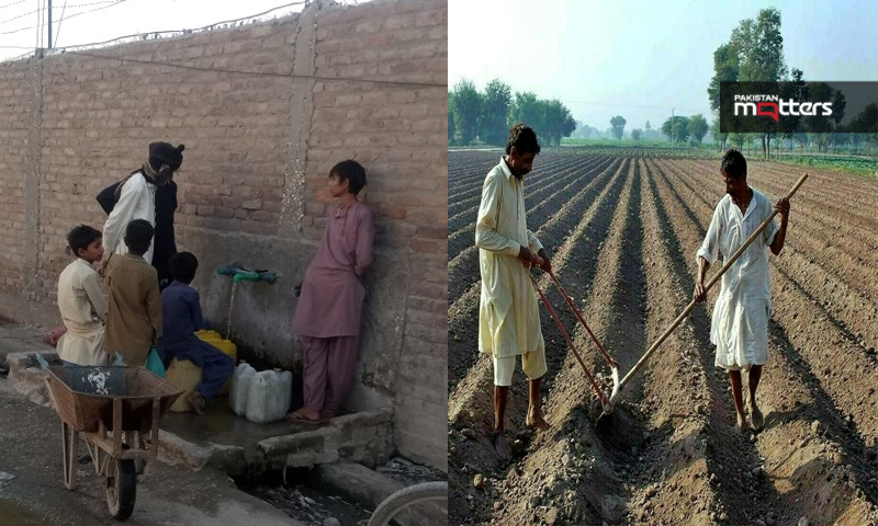 Farmer in punjab