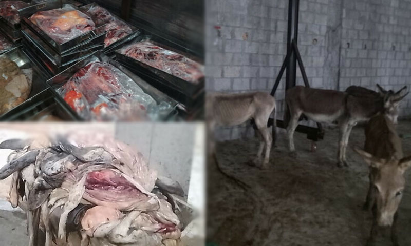 Donkey meat ii