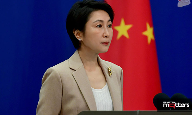 Foreign ministry spokesperson