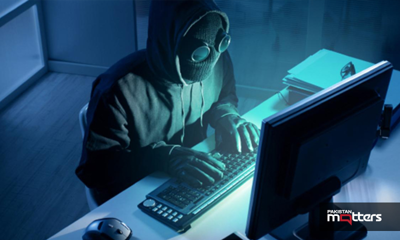 Grant cyber letters of marque to manage