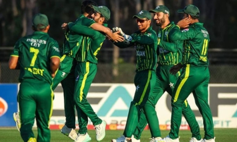 Here is pakistan shaheens squad for top end t20 series