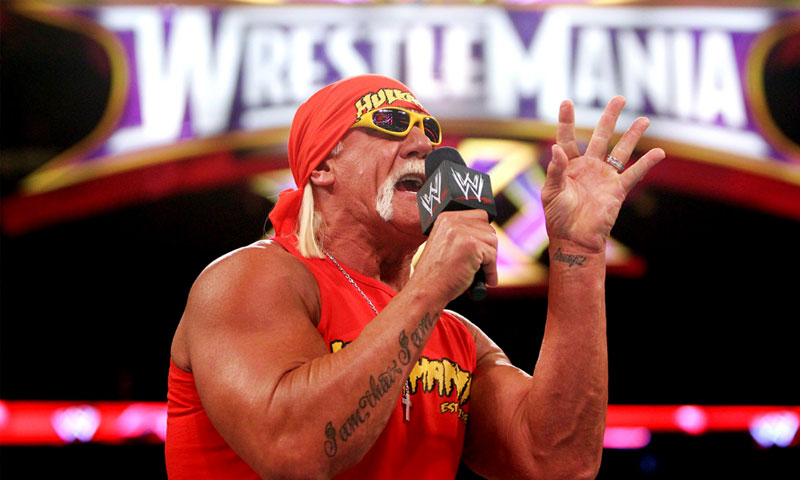 Hulk hogan ii