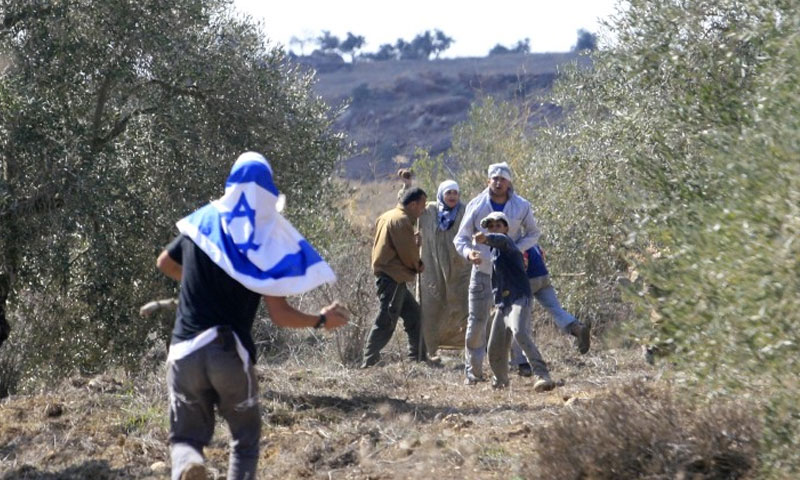 The israeli activists helping protect