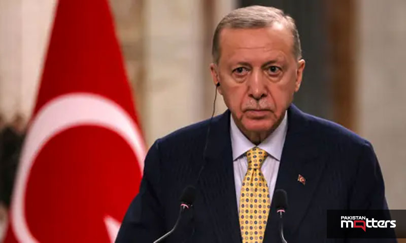 Turkey blocks x's grok