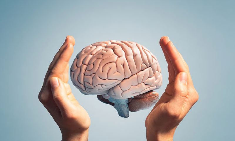 World brain day 2024