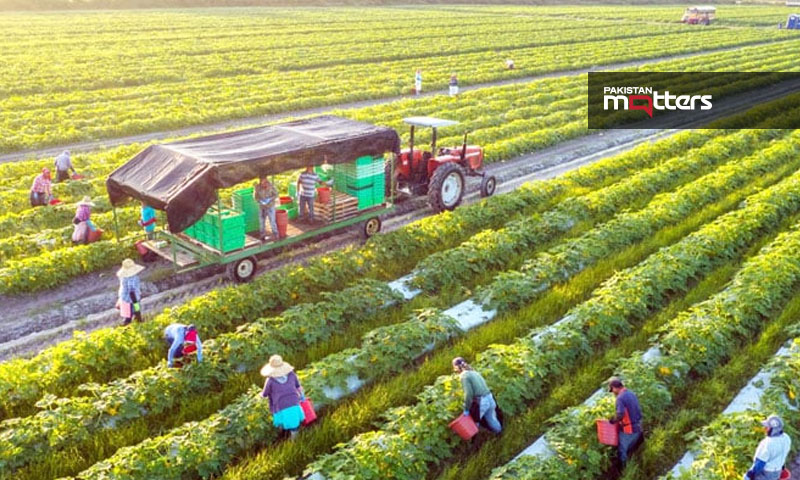 Agriculture