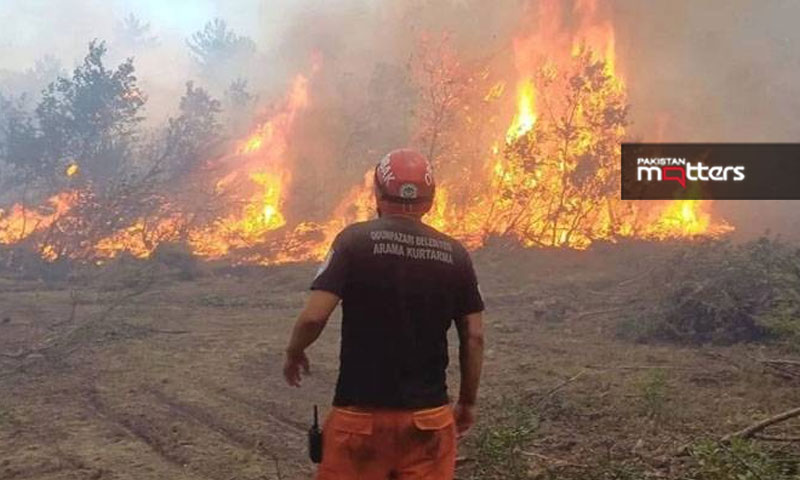 Fire in turkey