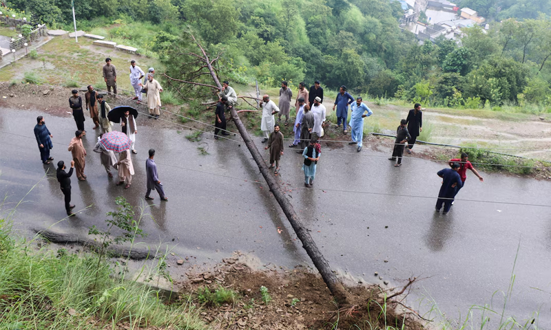 Flood in punjab.