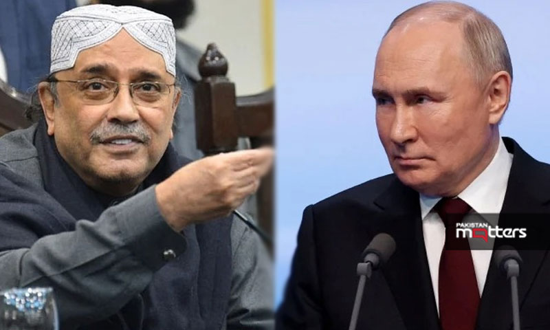 Putin & zardari