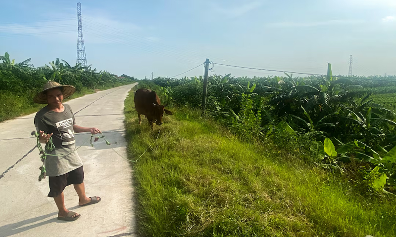 Vietnam farmers.