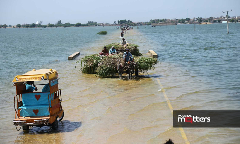 Water scarcity]