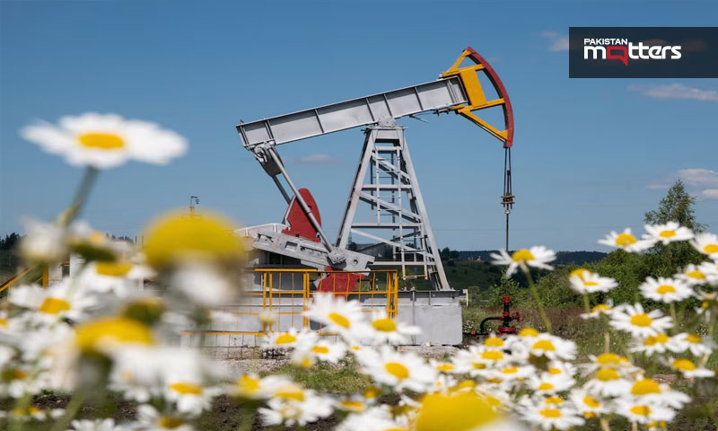 Oil