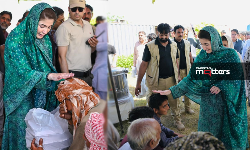 Pmln